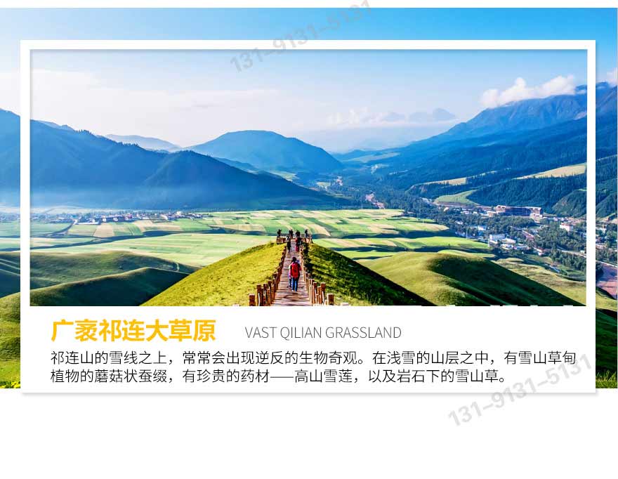 青海_44.jpg